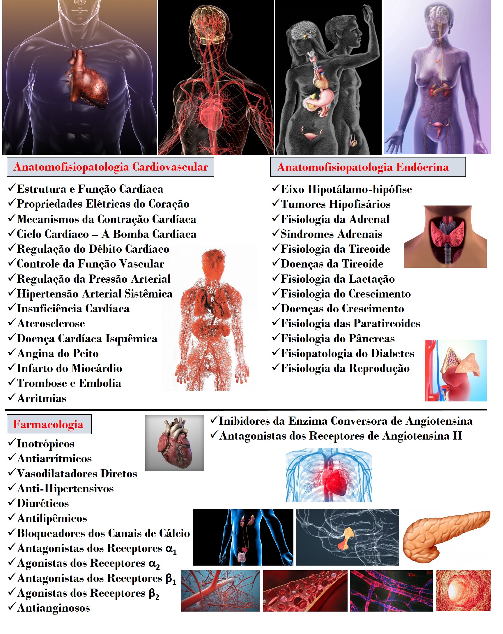 Farmacologia do Sistema Cardiovascular - Farmacologia Aplicada