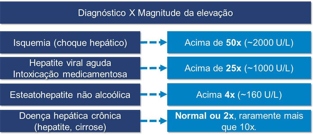 TGO e TGP elevados: o que é e quando fazer o exame