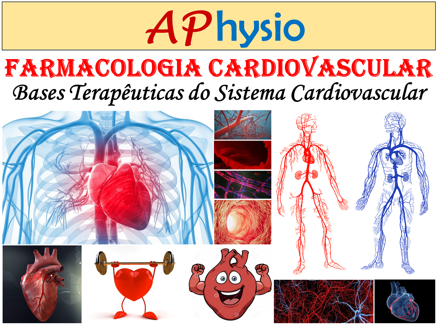 Farmacologia do Sistema Cardiovascular - Farmacologia Aplicada